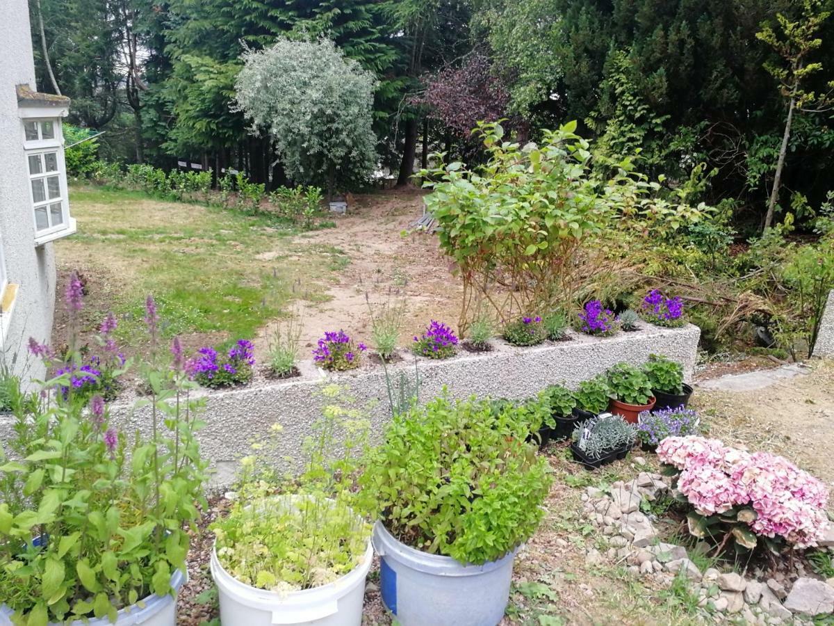 فندق Robinhill Garden فورس المظهر الخارجي الصورة